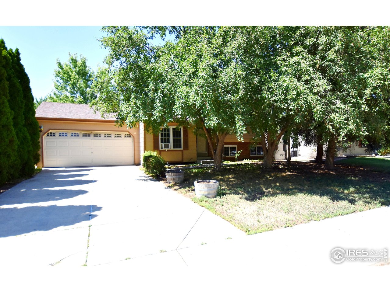 4009 Davidia Ct
