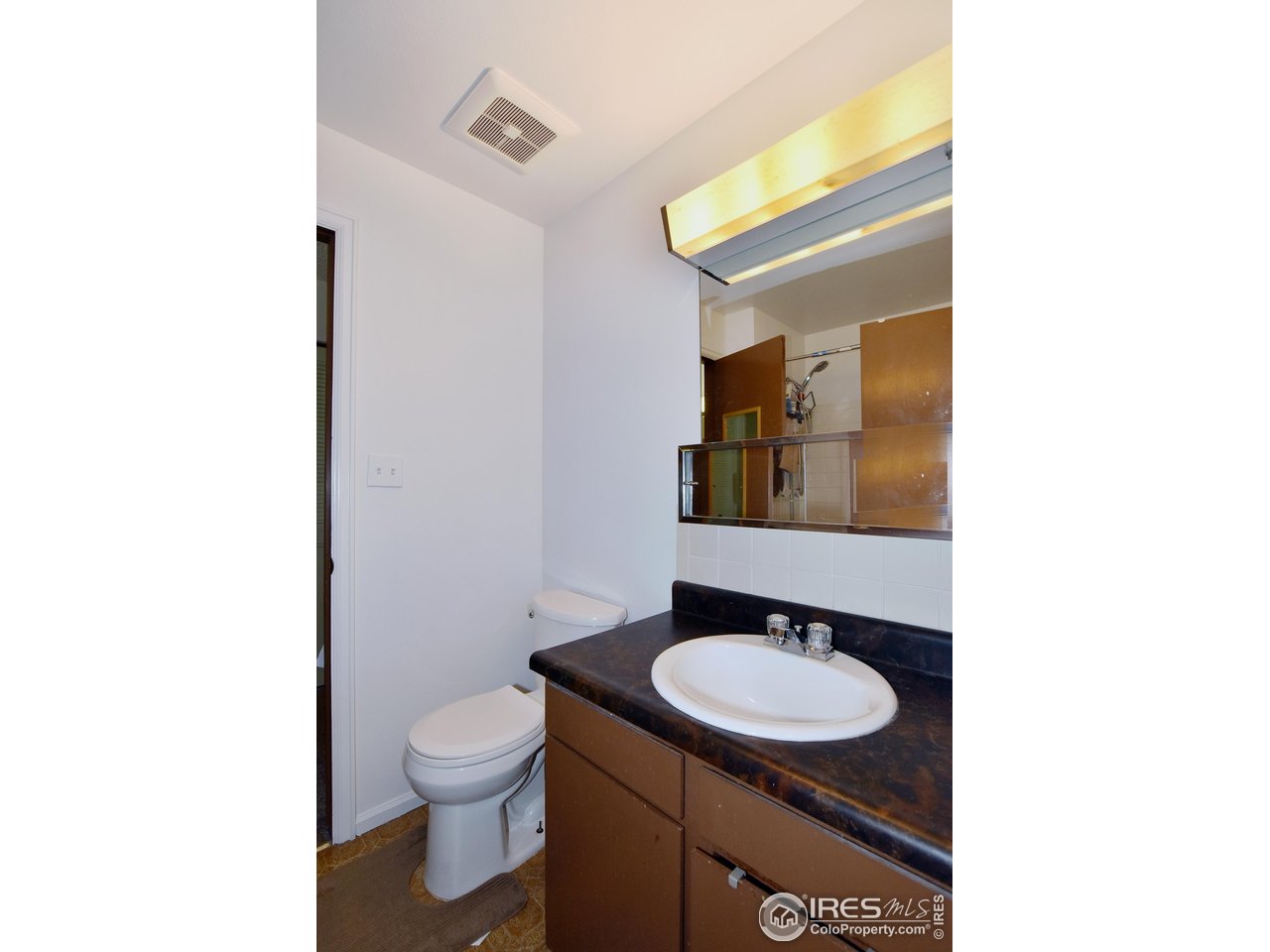 4009 Davidia Ct