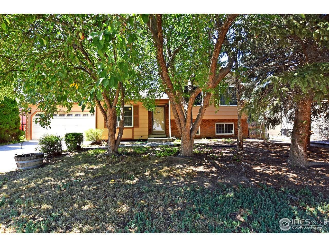 4009 Davidia Ct