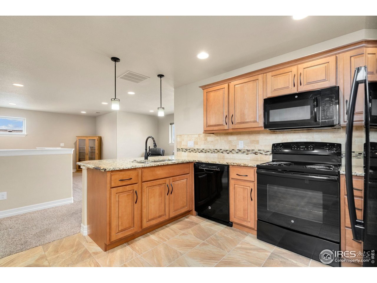 5954 Black Lion Ct