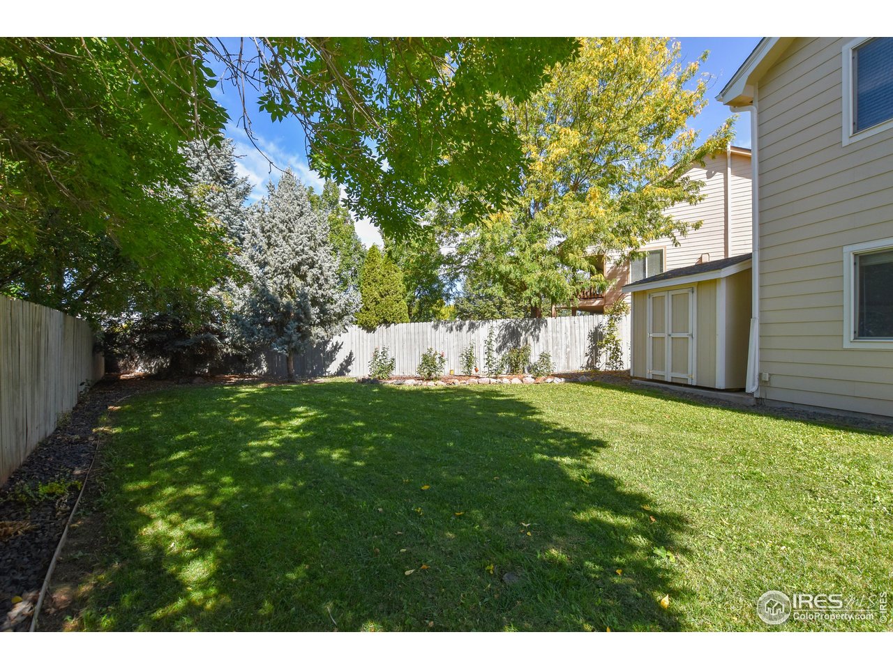 205 Timber Ridge Ct