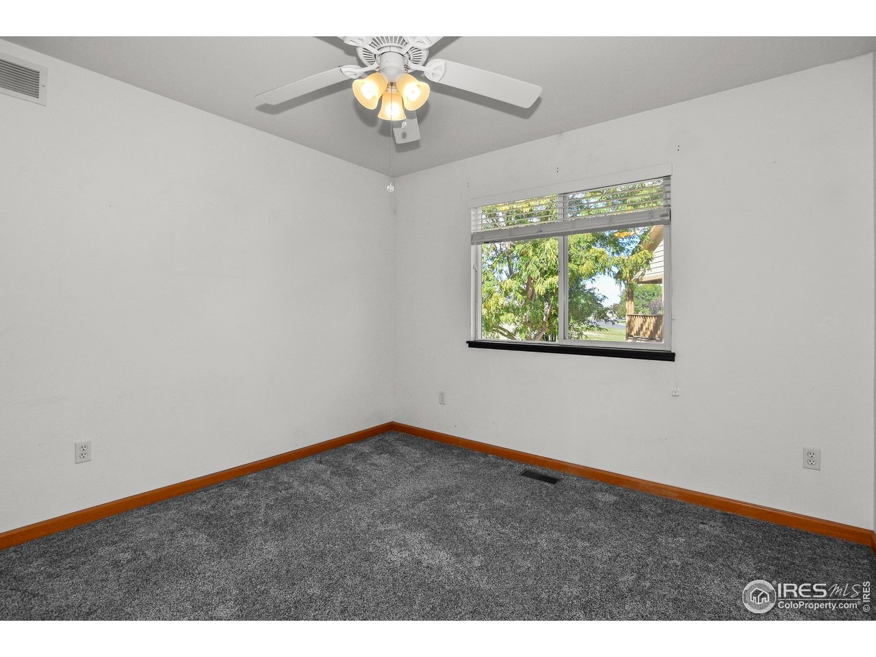 205 Timber Ridge Ct