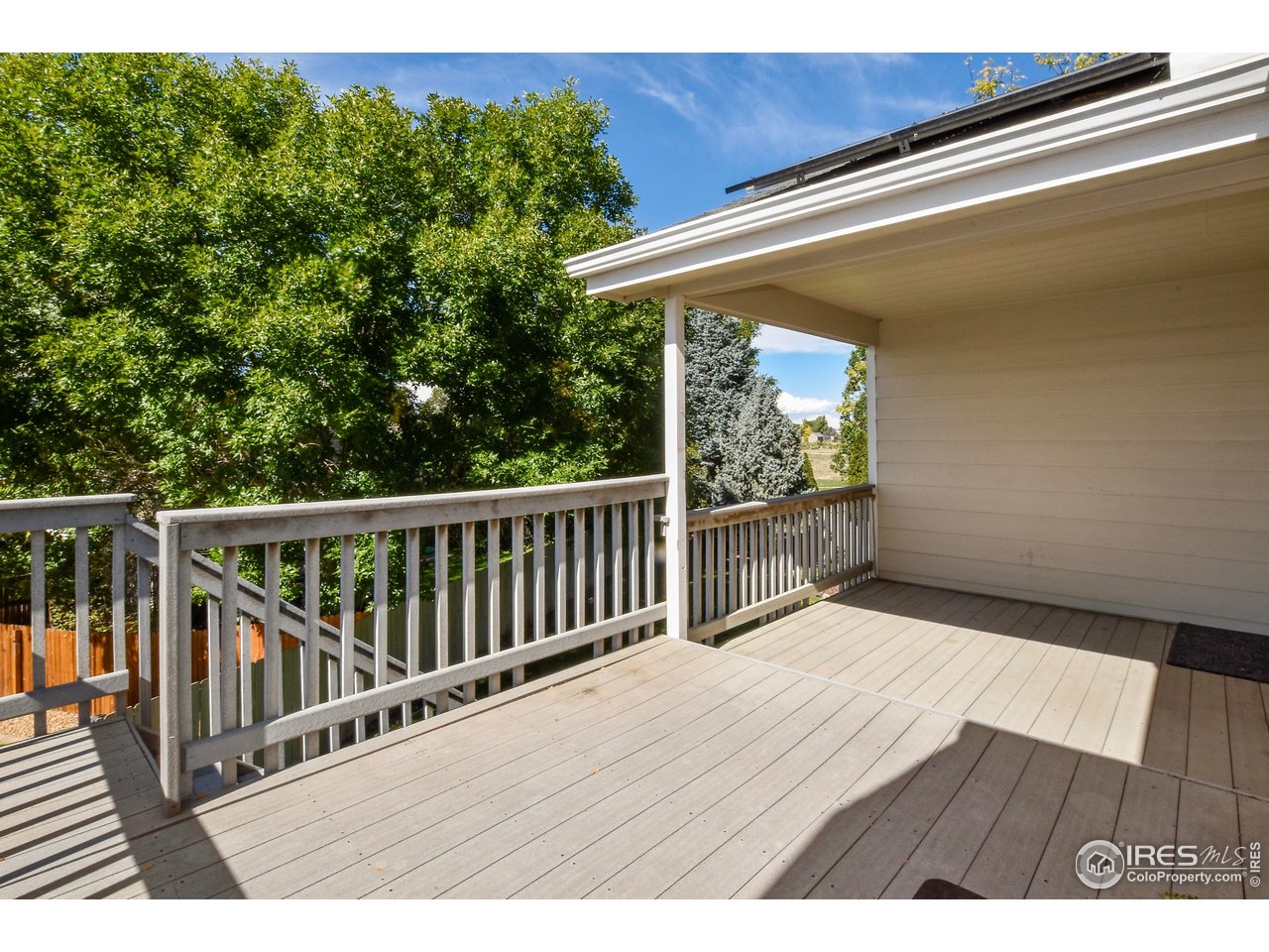 205 Timber Ridge Ct