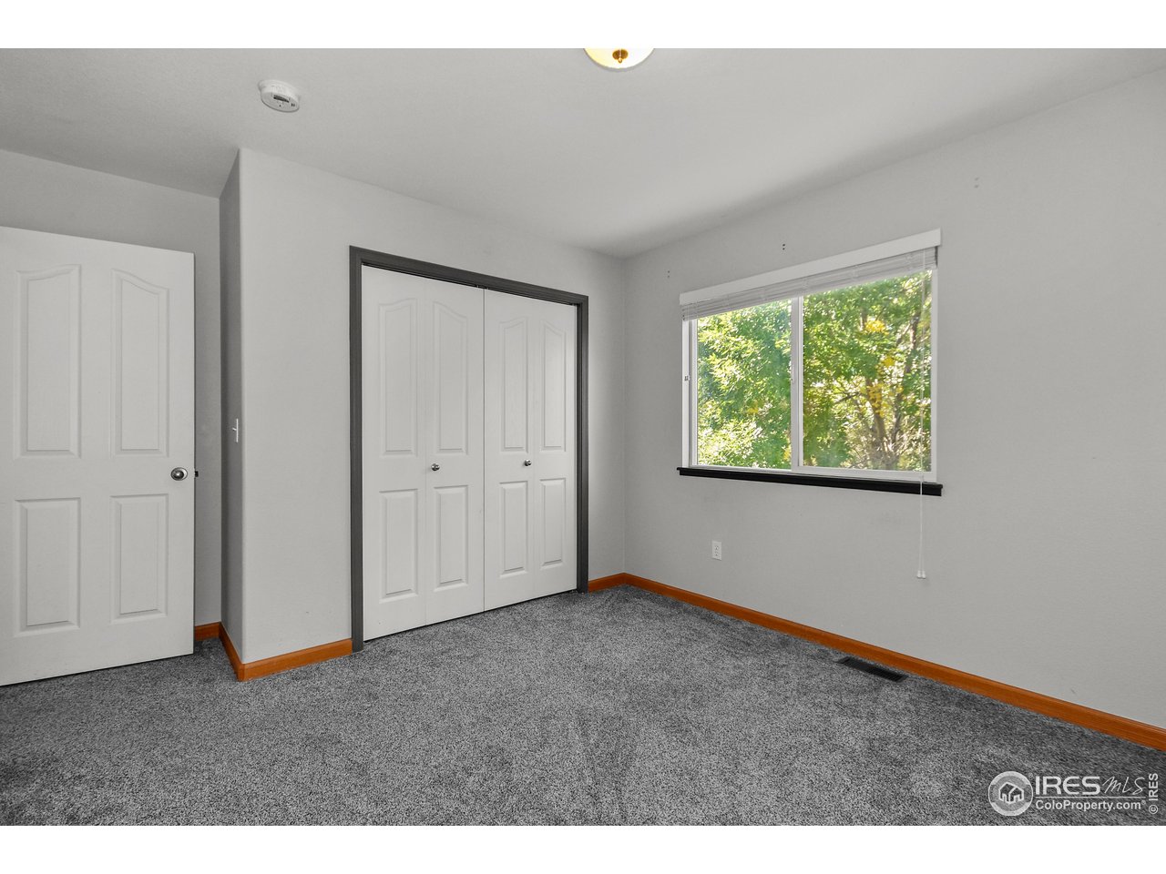 205 Timber Ridge Ct