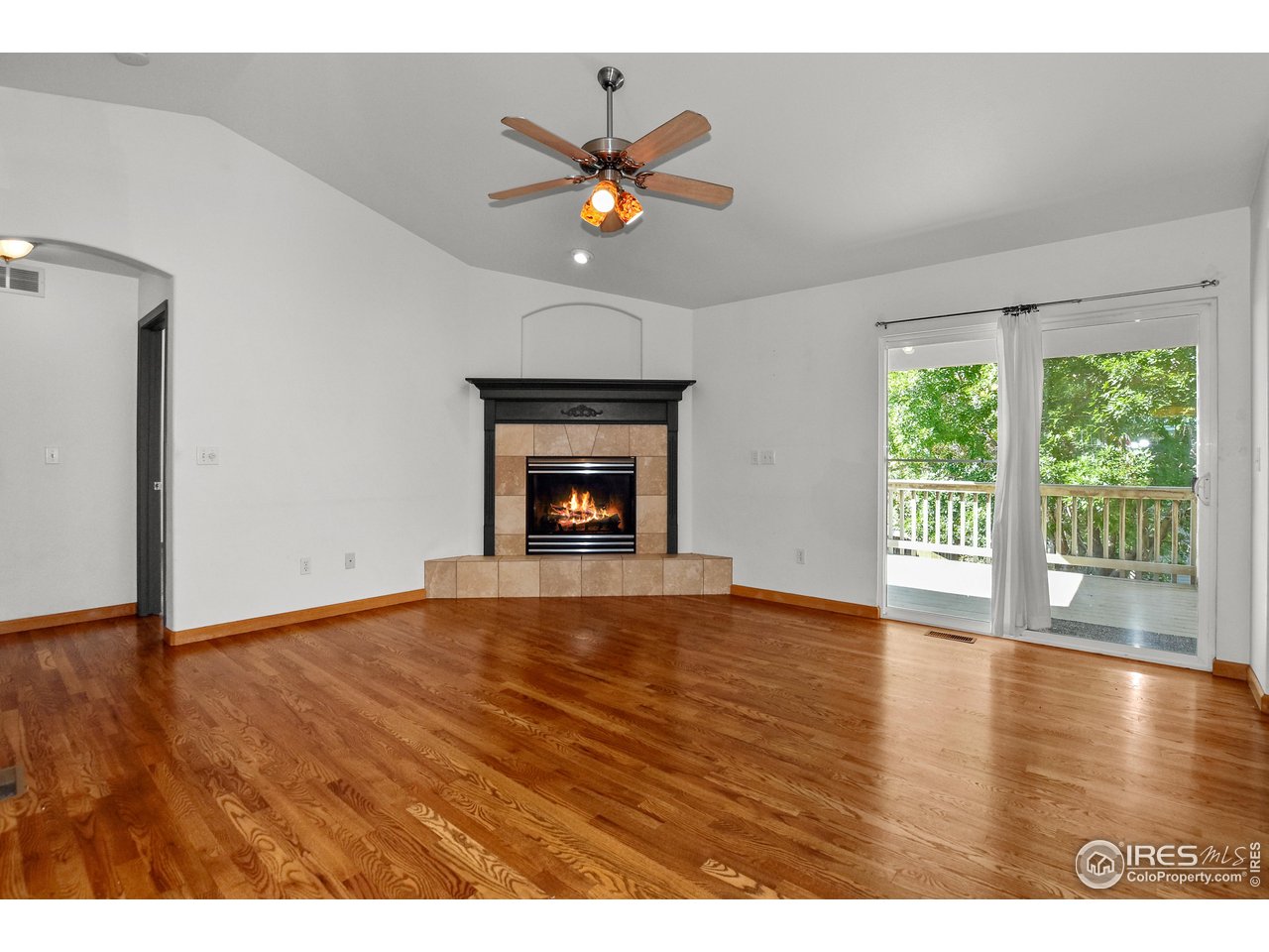 205 Timber Ridge Ct