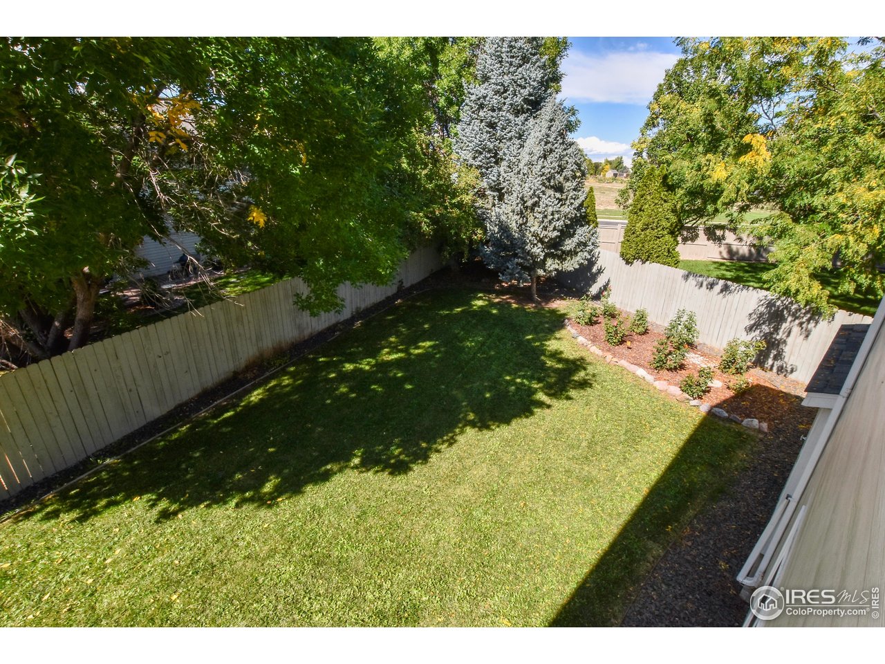 205 Timber Ridge Ct