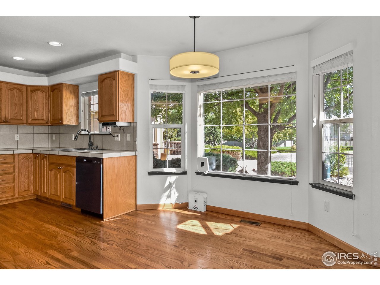 205 Timber Ridge Ct
