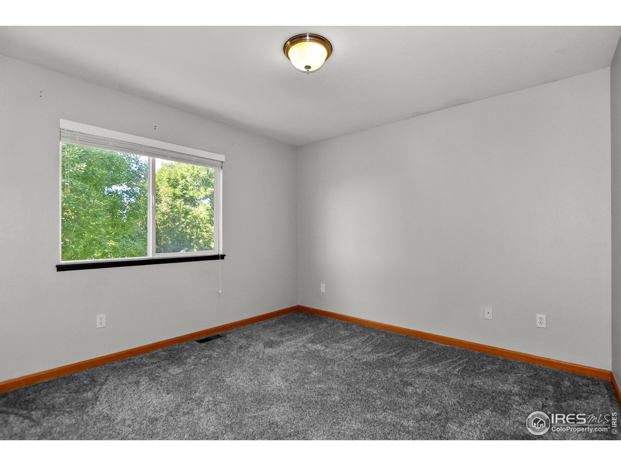 205 Timber Ridge Ct