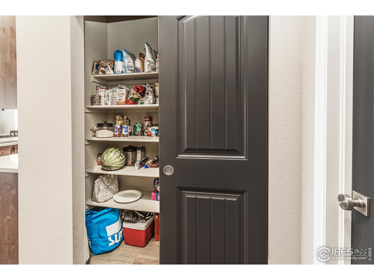1231 105th Ave Ct