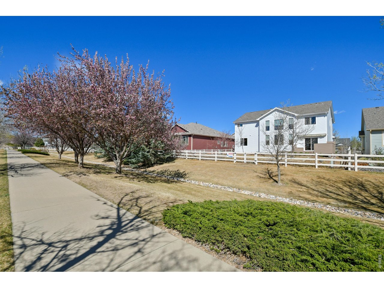 3242 Sedgwick Cir