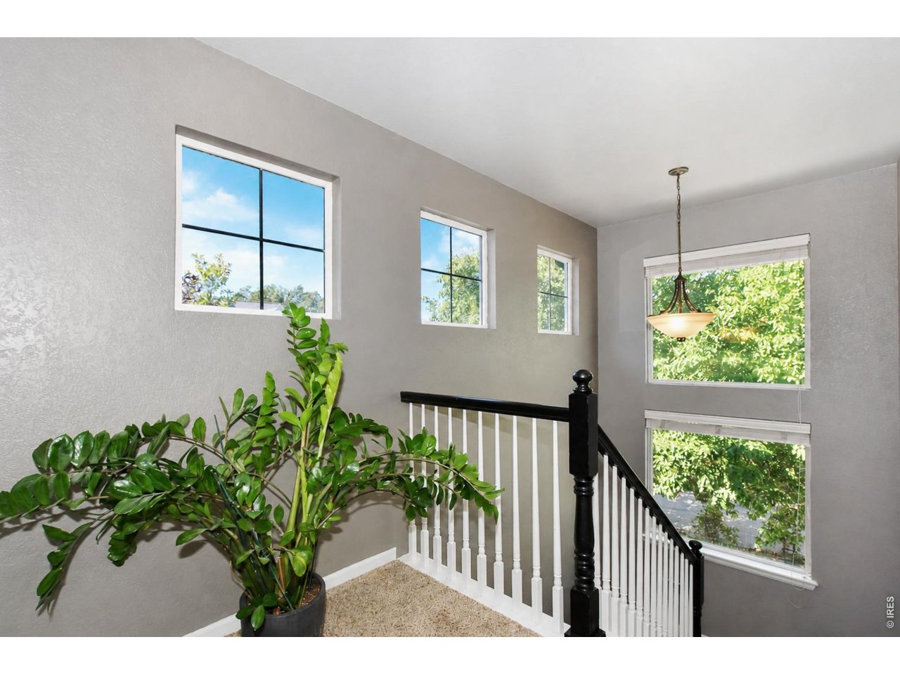 1414 Canal Dr
