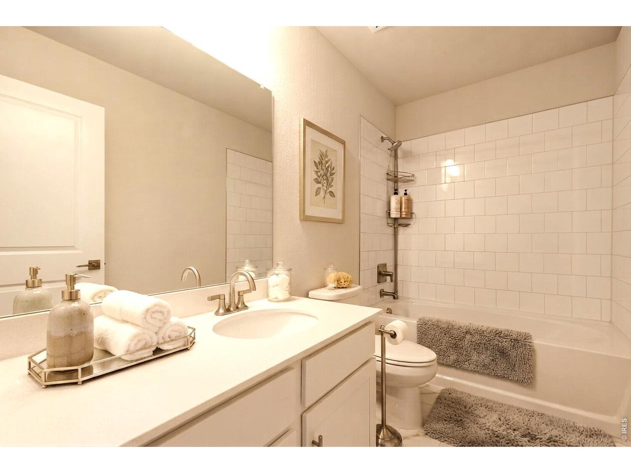 2575 Violet Cress Ln