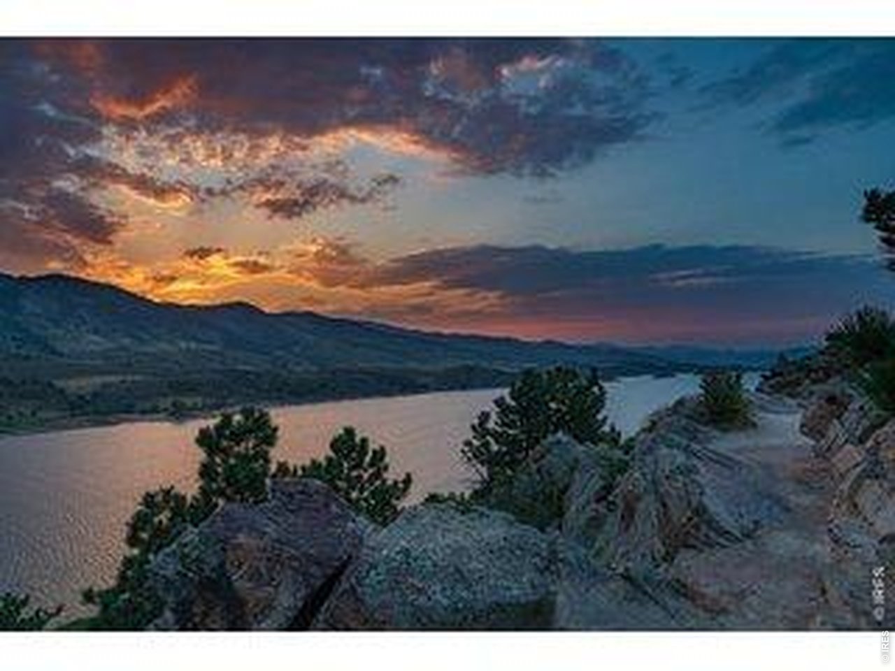 2575 Violet Cress Ln