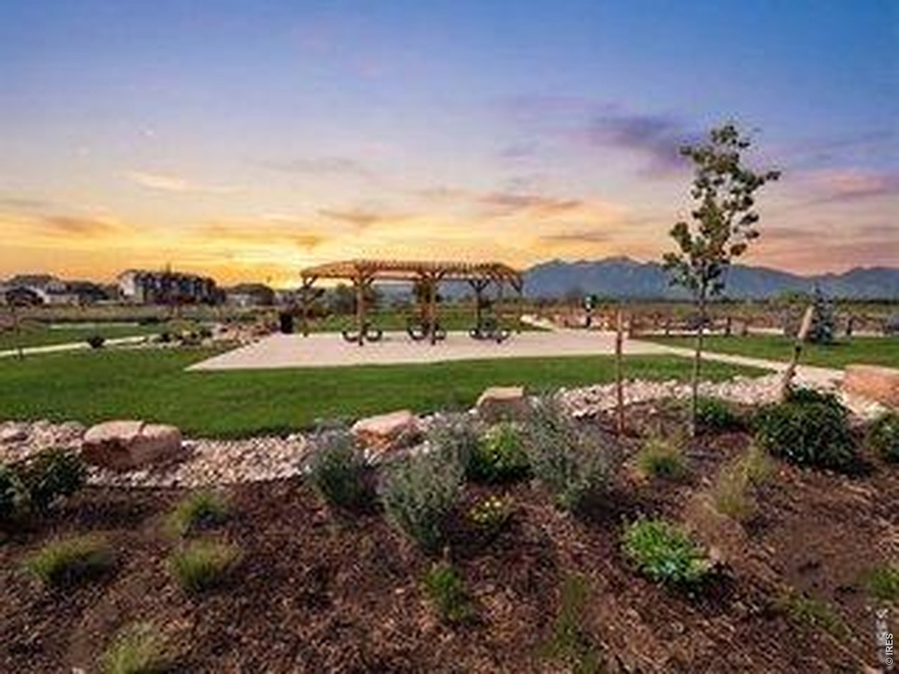 2575 Violet Cress Ln