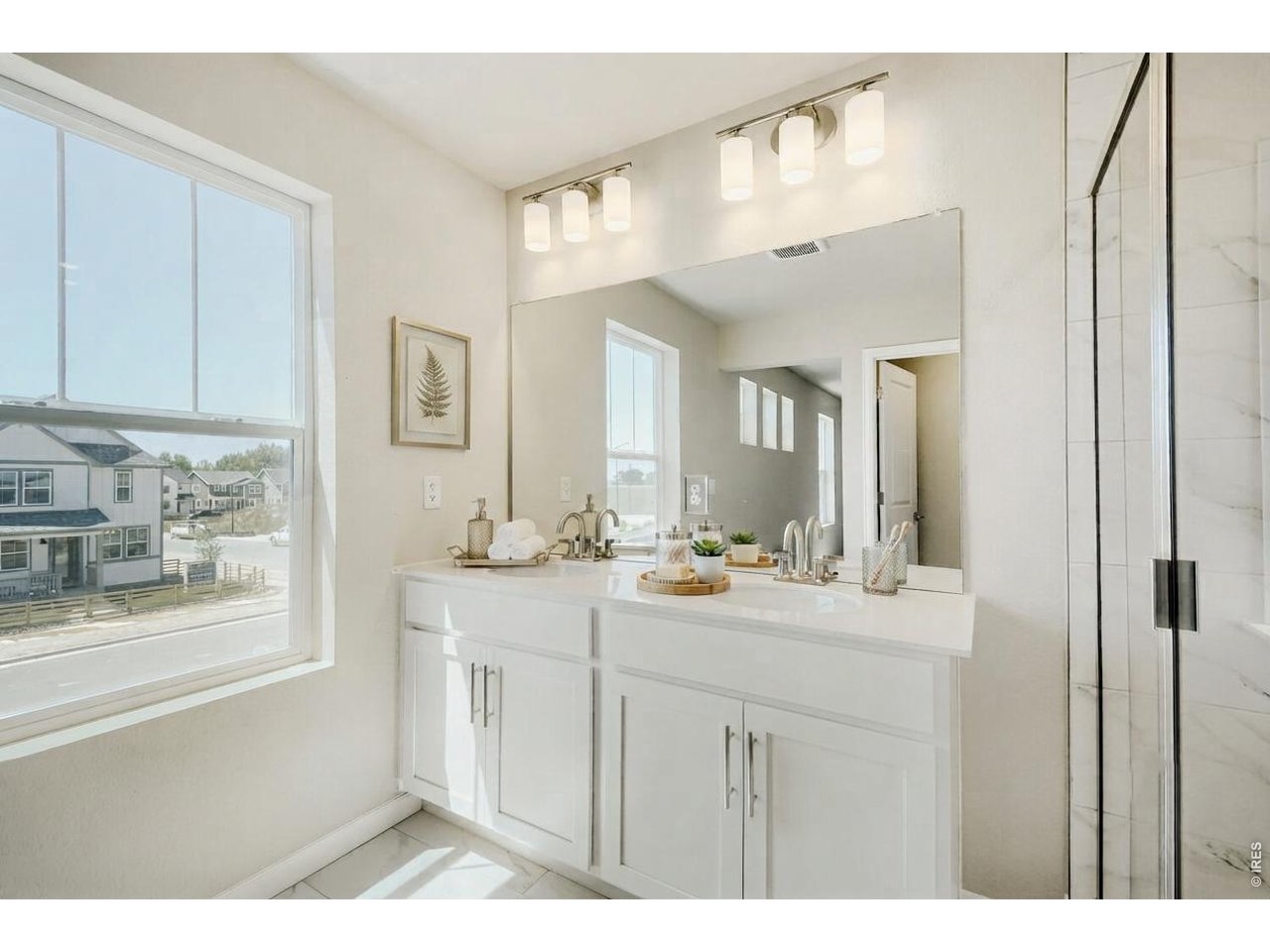 2575 Violet Cress Ln