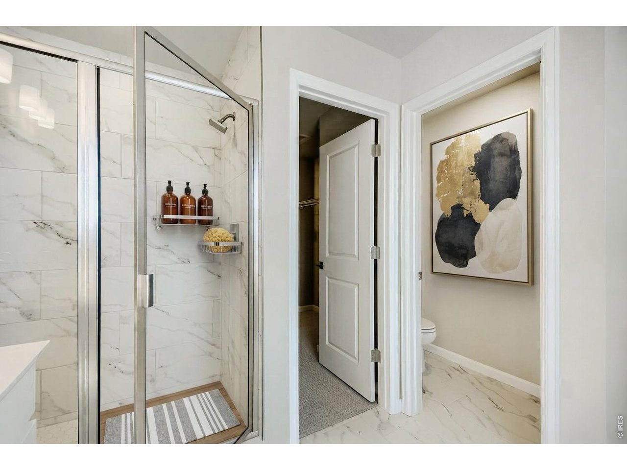 2575 Violet Cress Ln