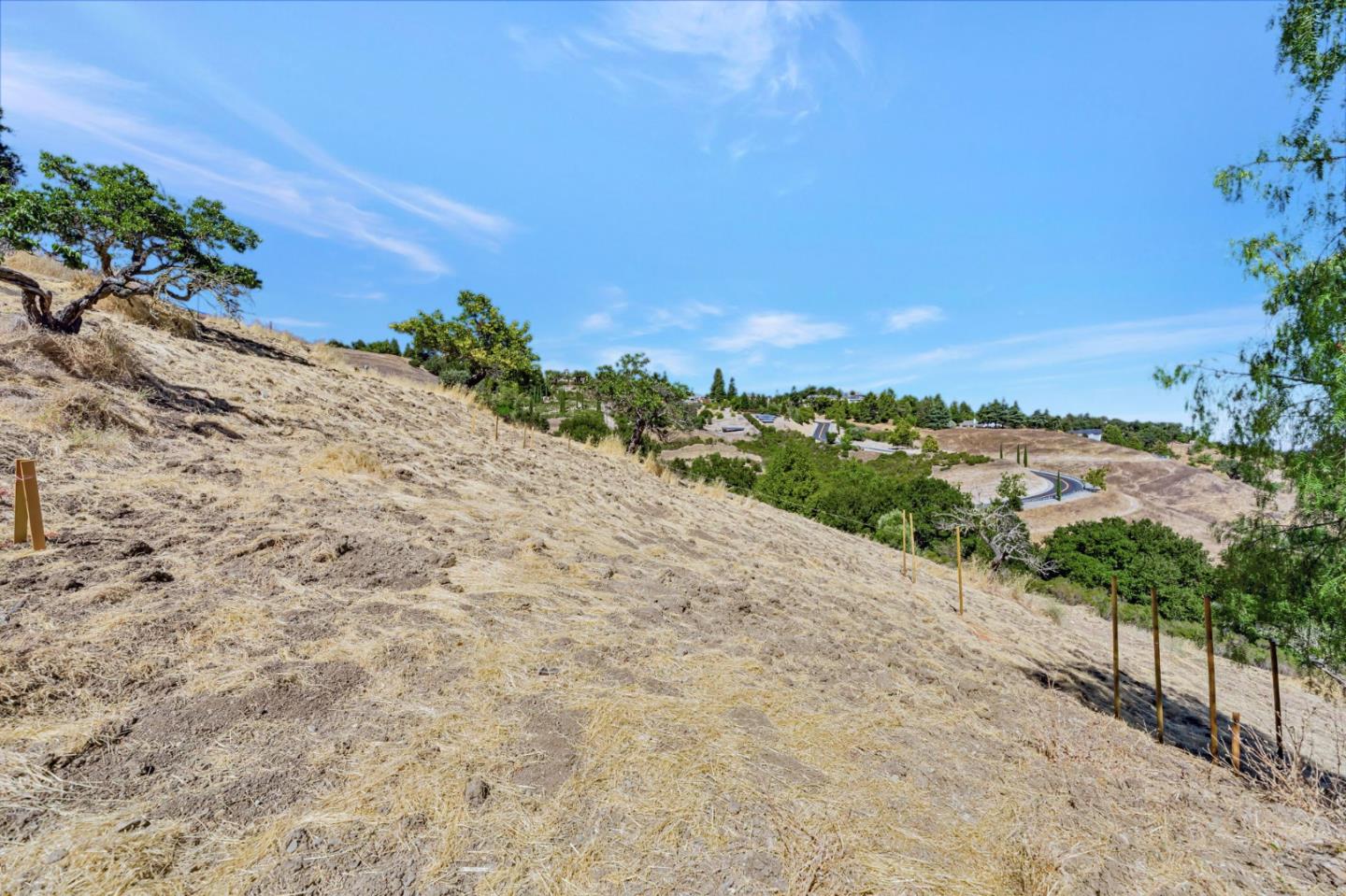 Vacant hillside lot with dry grass, scattered trees, and a winding road in the distance.