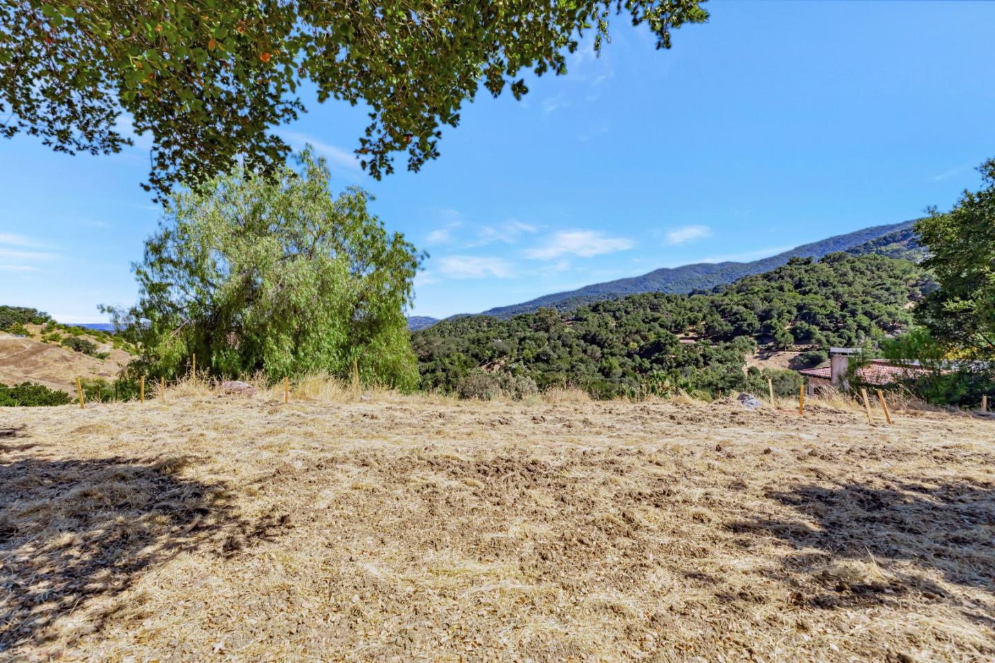 Open hillside lot with dry grass, scattered trees, and wooded mountain views.