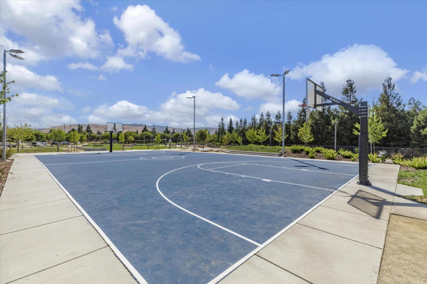 Outdoor basketball court with blue pavement, multiple hoops, and landscaped grounds.