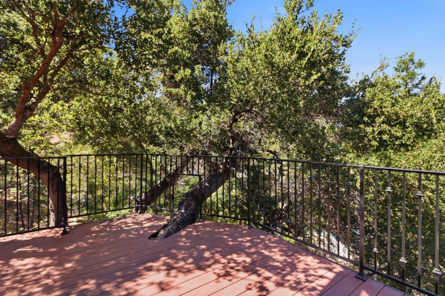 3911 Pepper Tree CT