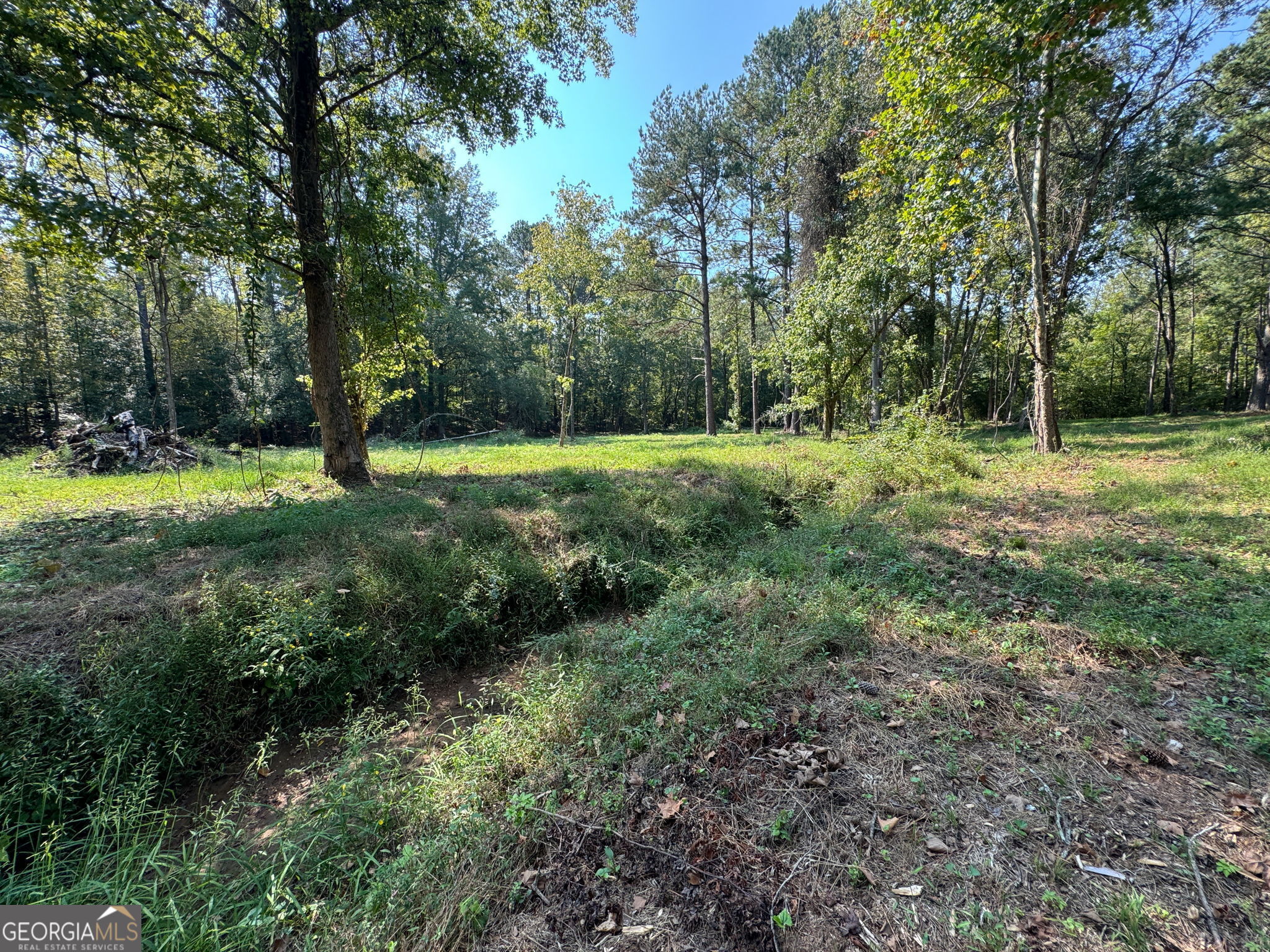 441 Bolingridge Drive