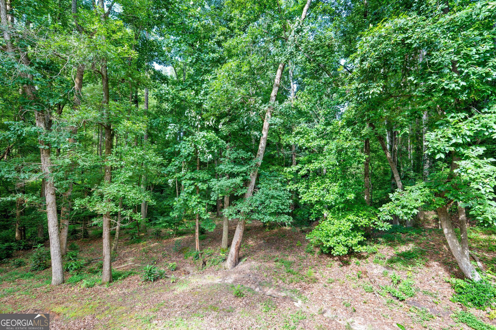 1917 Lake Ridge Court