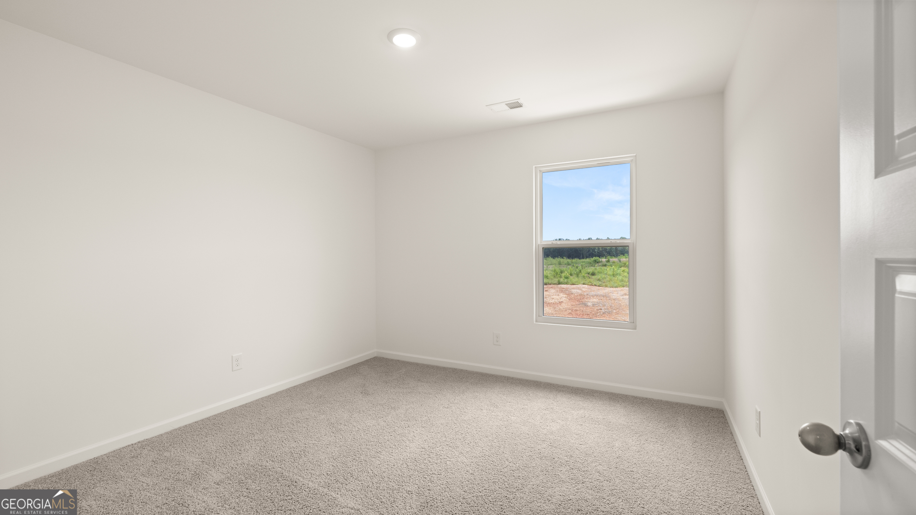 113 Hatmaker Court, Griffin