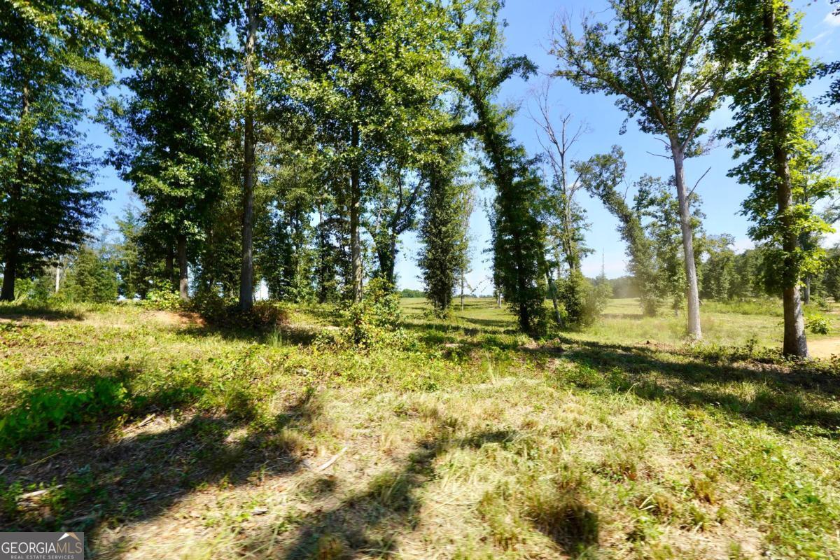 0 Walters Road # 5 Unit: TRACT 5