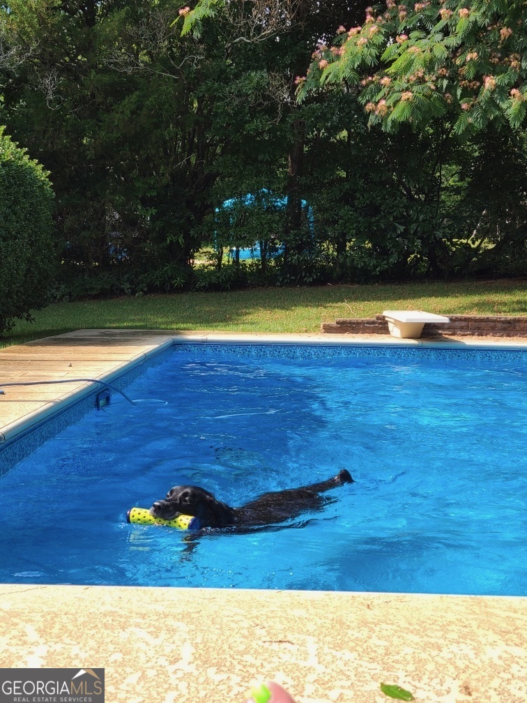 119 Summerfield Drive