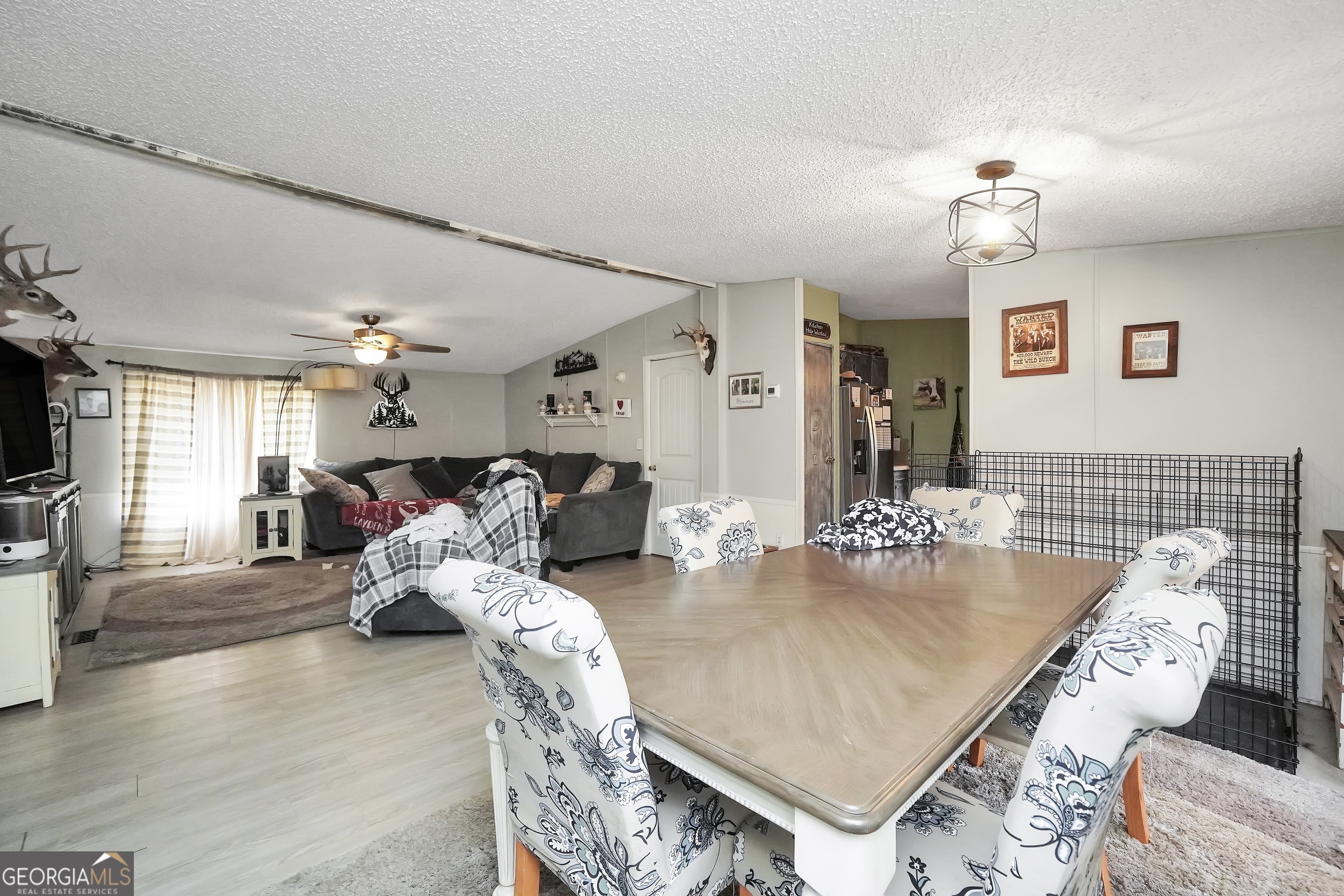 926 Silver Dollar Road