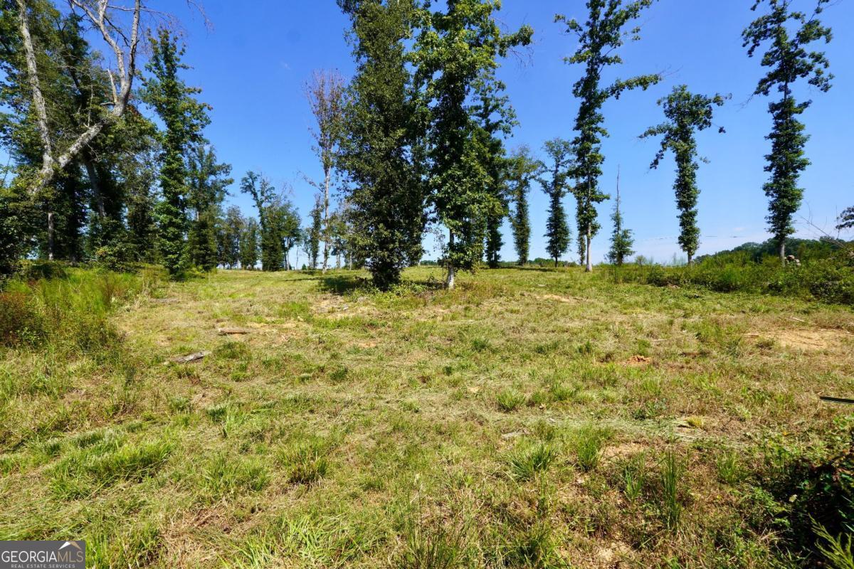 239 Walters Road # 5 Unit: TRACT 5