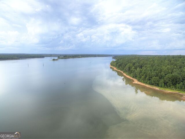 1141 Pebble Creek Lane