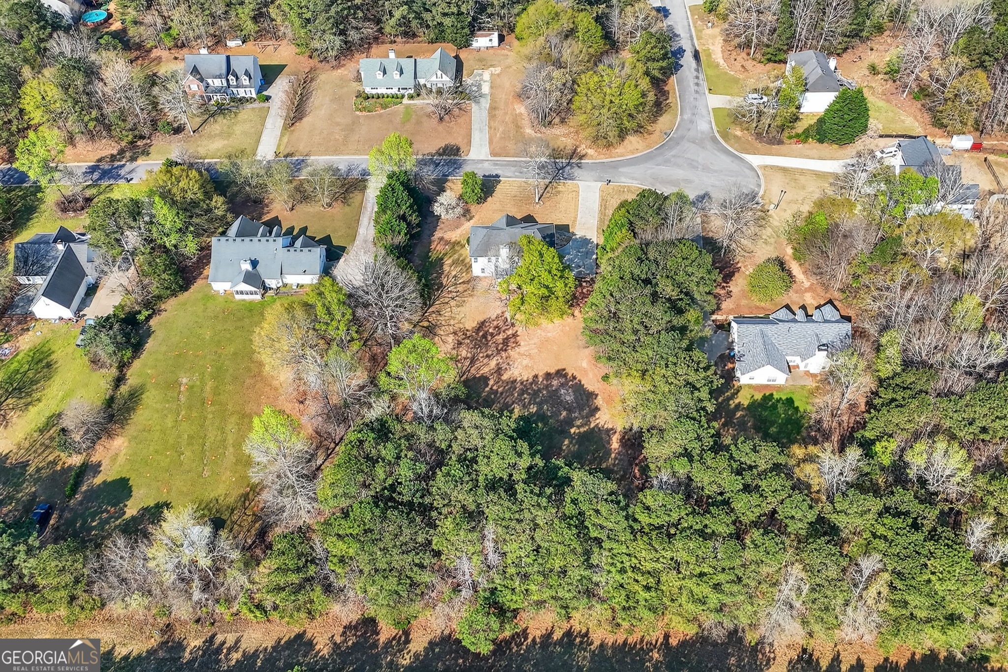 322 Black Willow Court