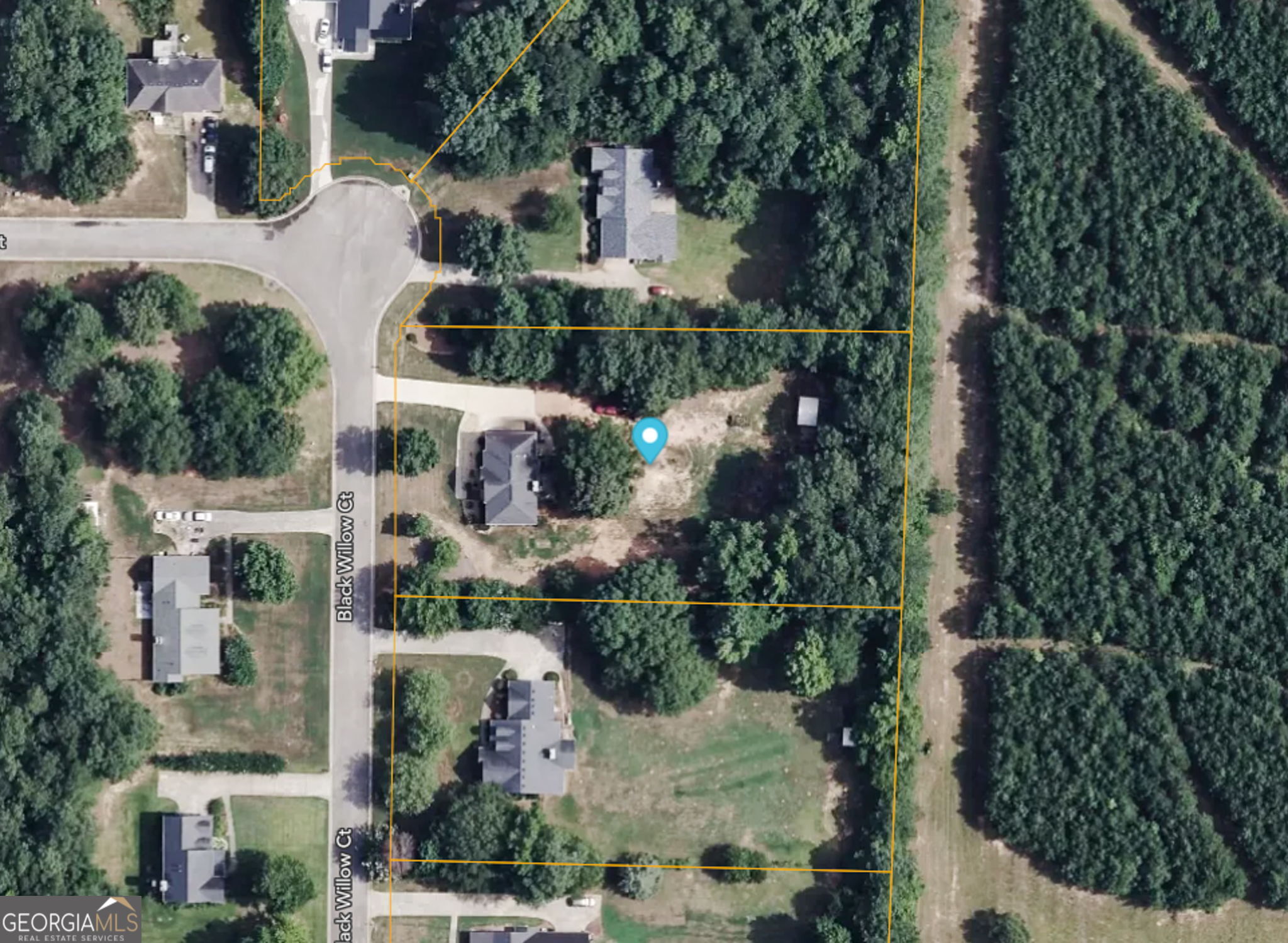 322 Black Willow Court