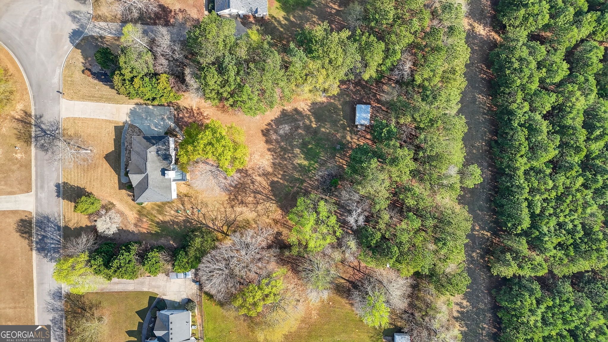 322 Black Willow Court