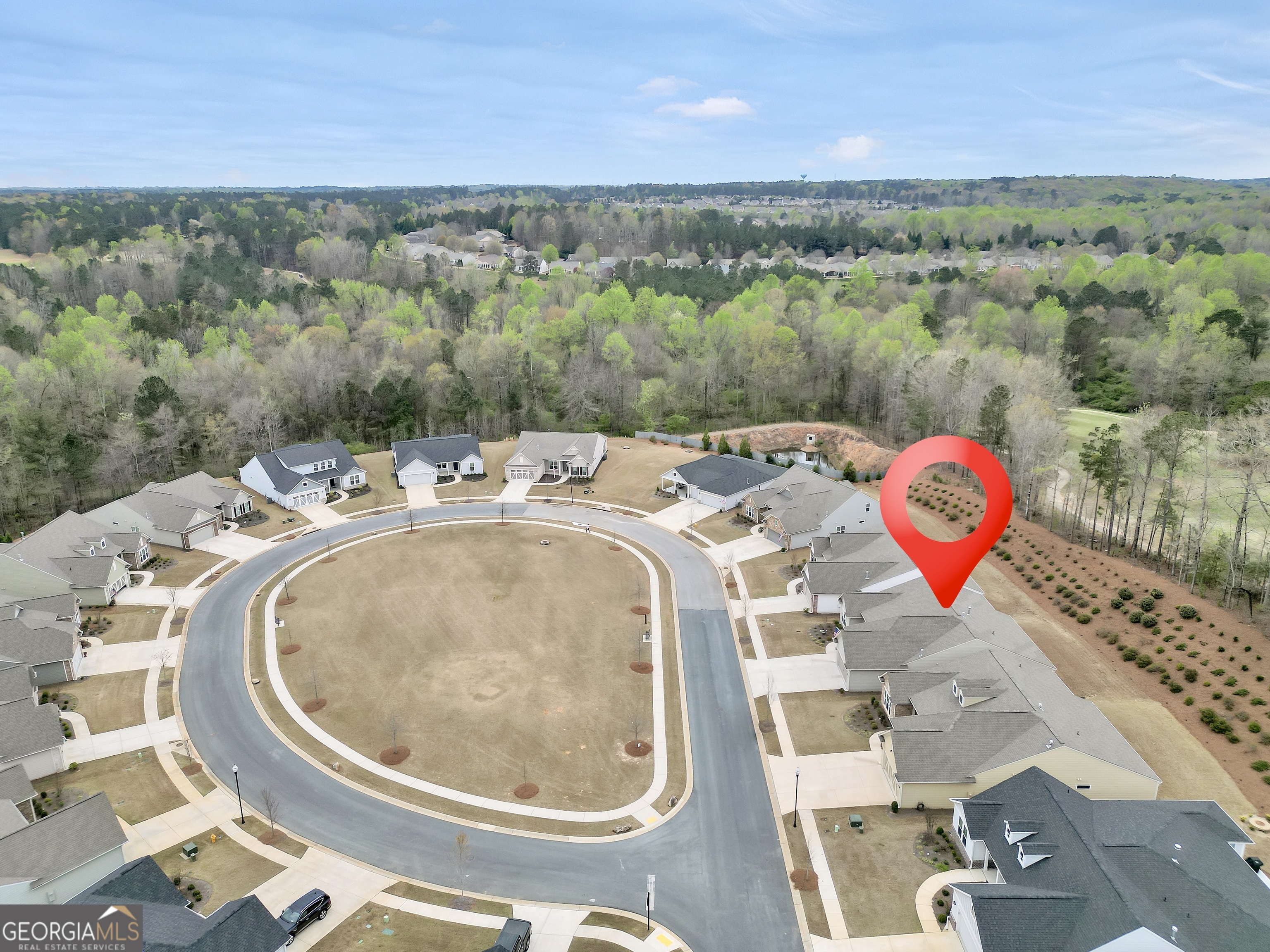 553 Hornbeam Drive