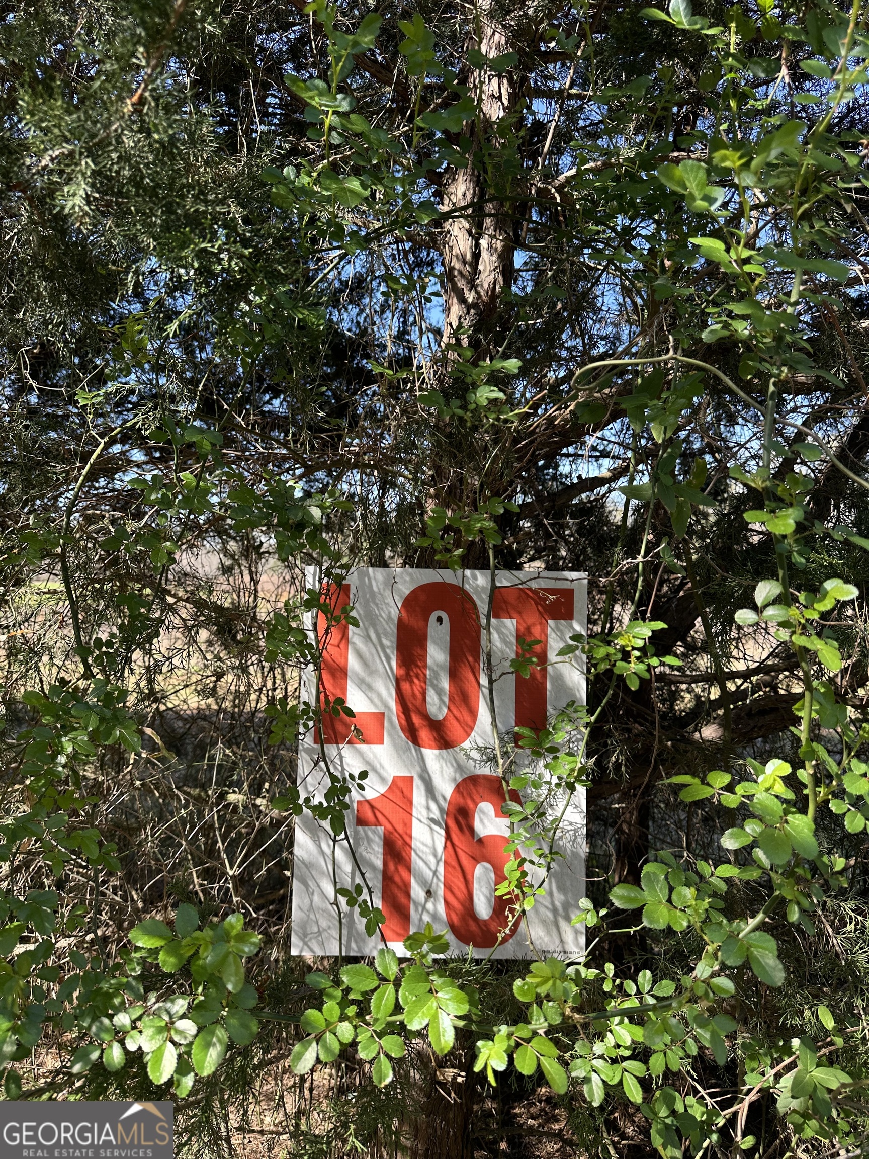 139 Oak Road LOT 16