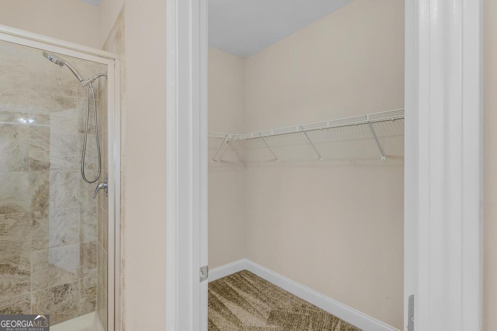 1141 Abundance Drive
