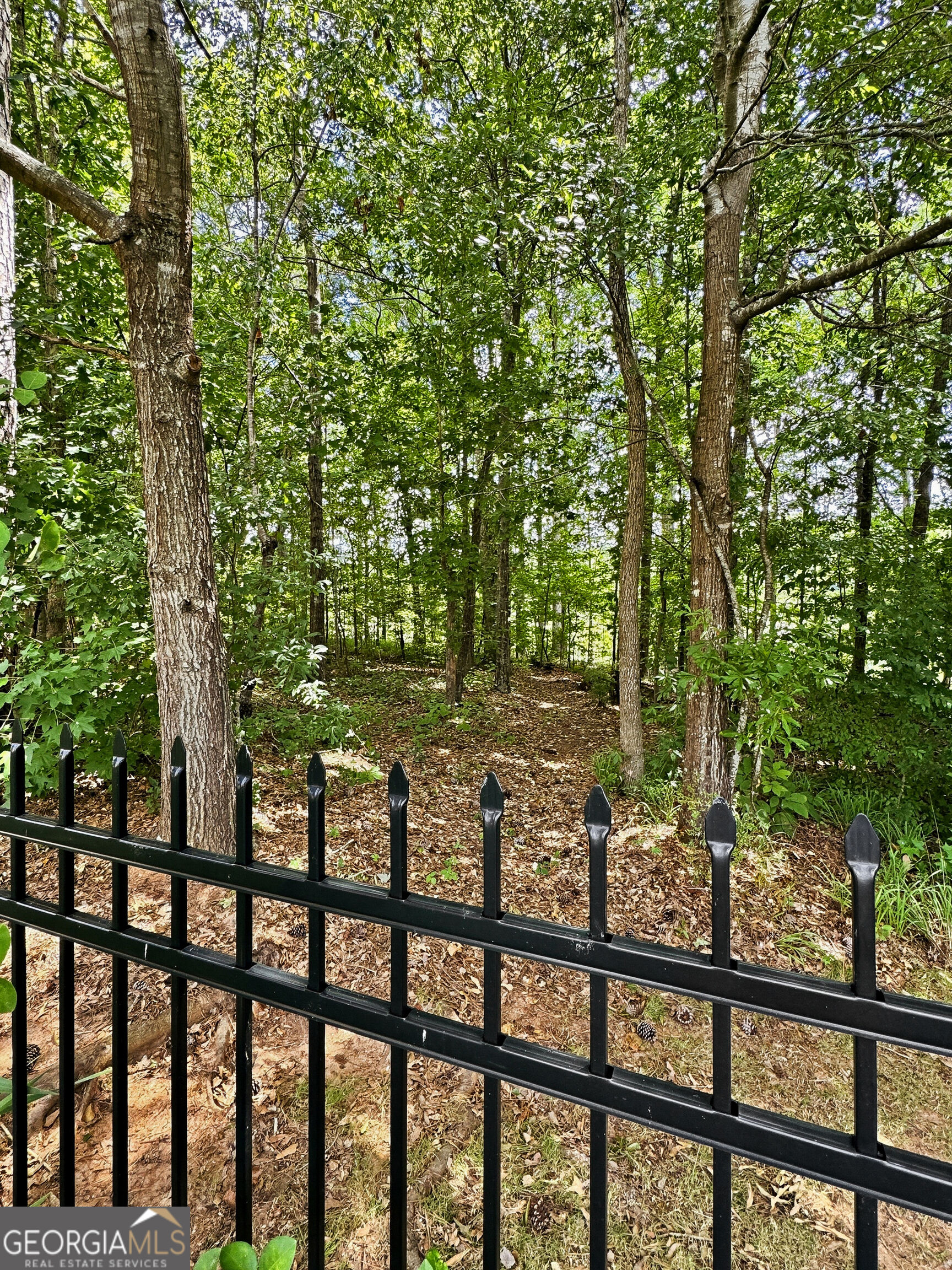 1141 Pebble Creek Lane