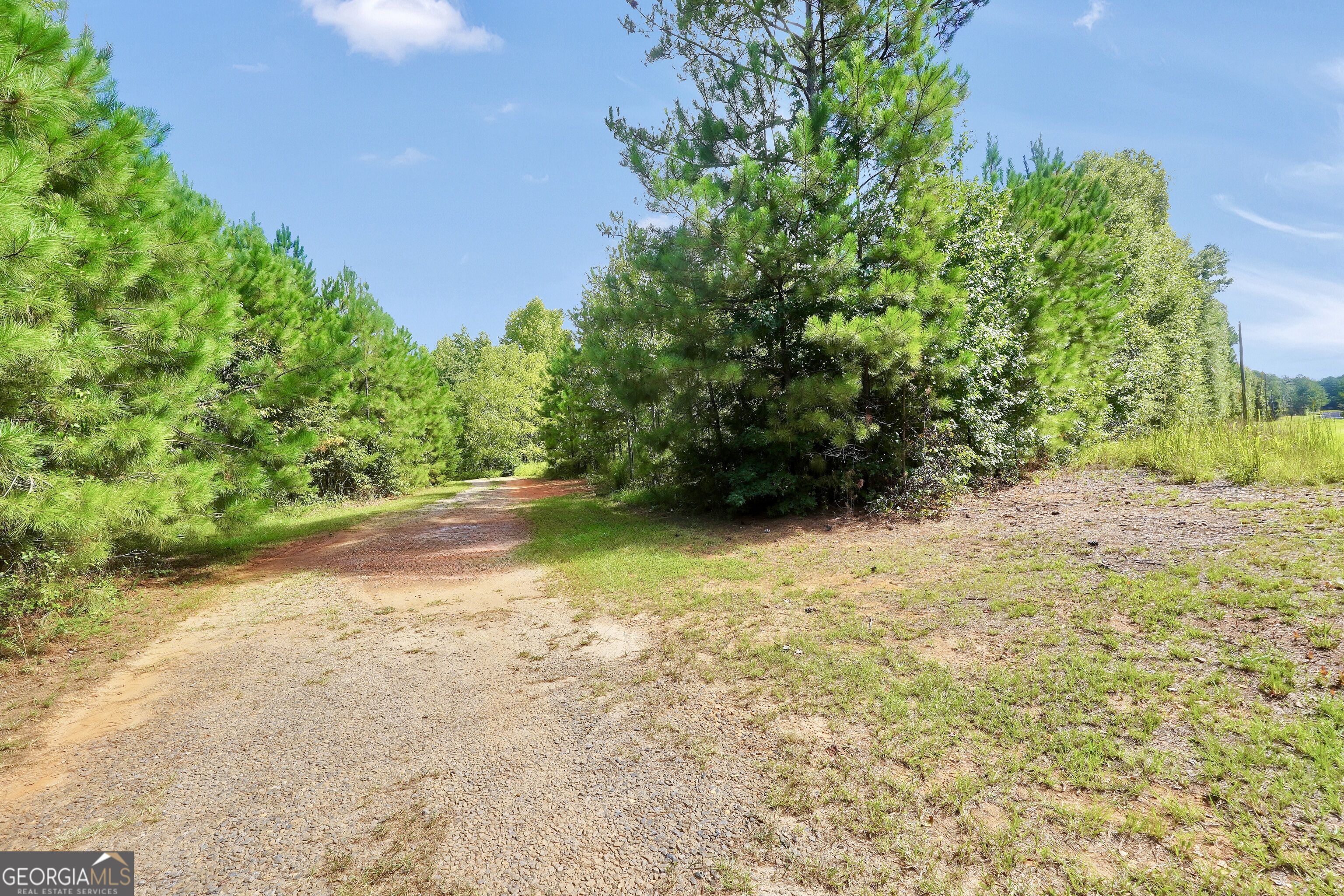 988 Lassiter Road