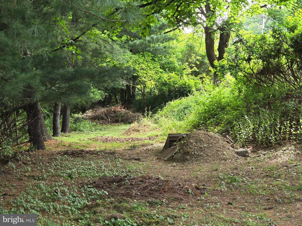 300 Dearnley St
