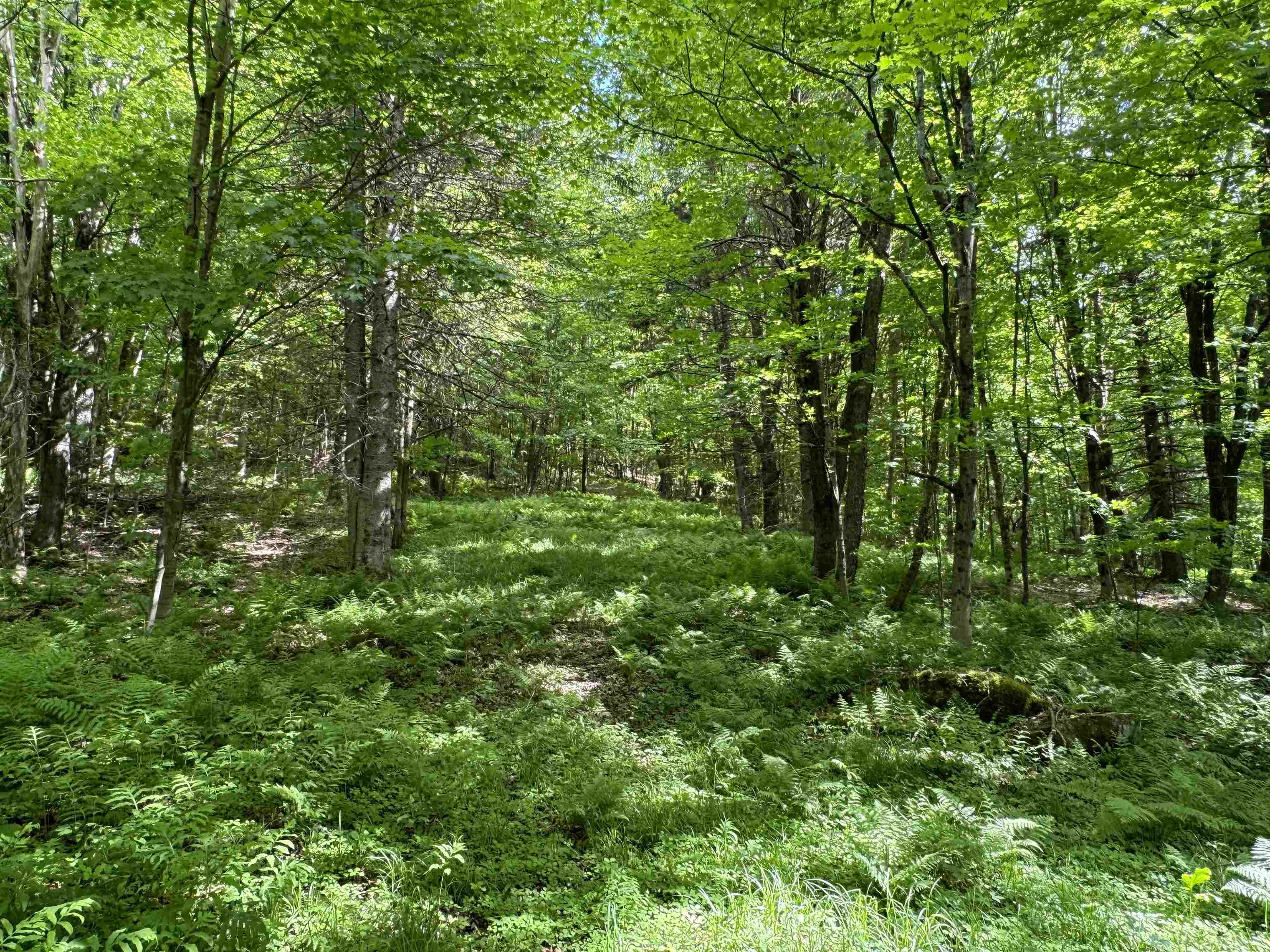 0 Hillside Drive Unit: Lot 46