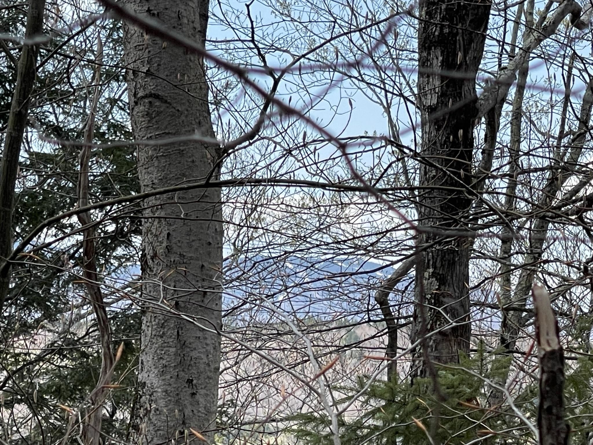 0 Hillside Drive Unit: Lot 46