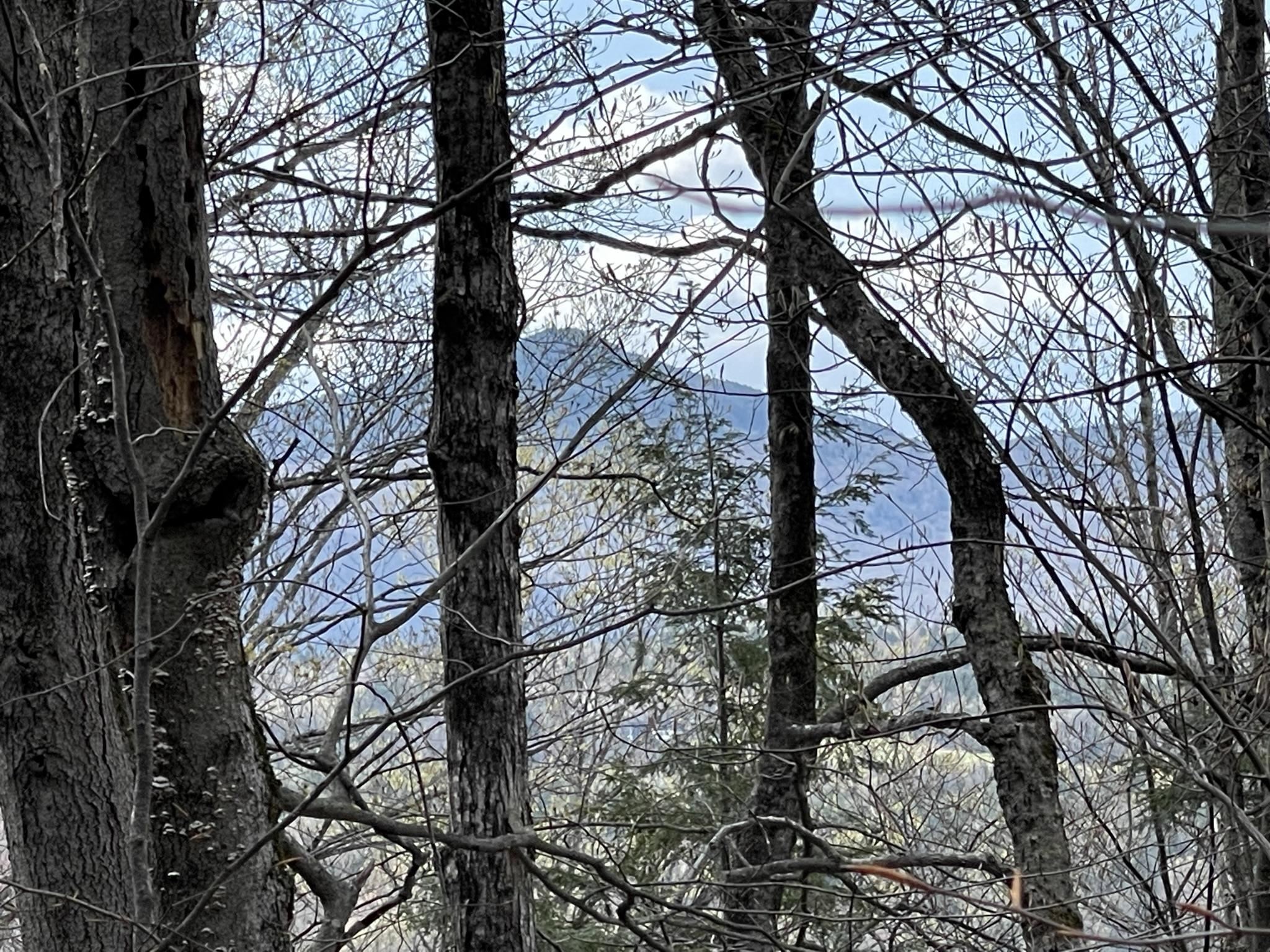 0 Hillside Drive Unit: Lot 46