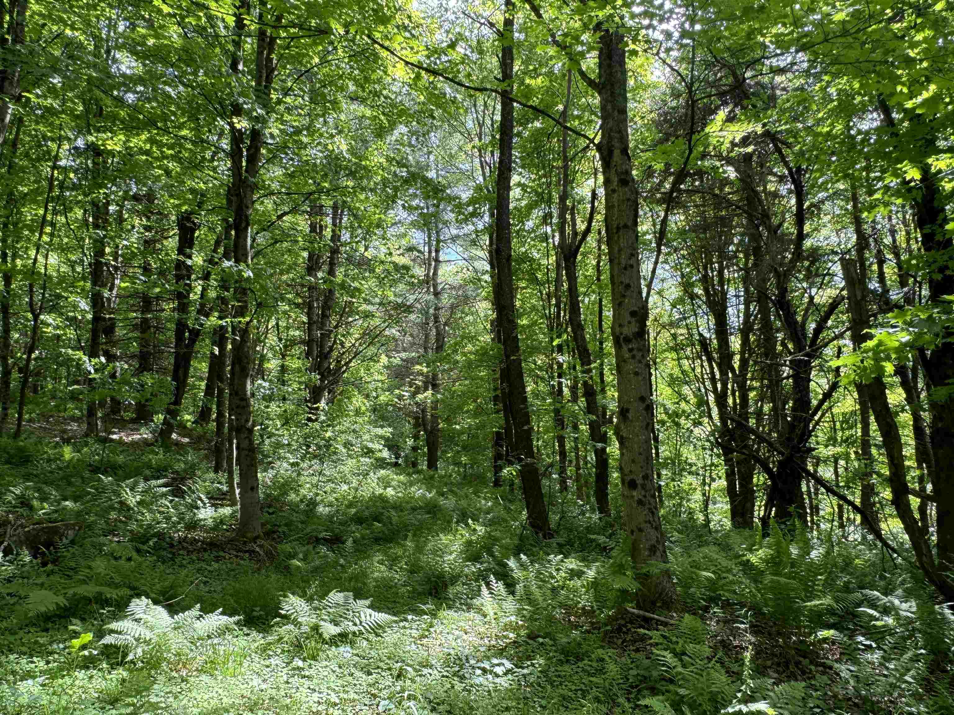 0 Hillside Drive Unit: Lot 46