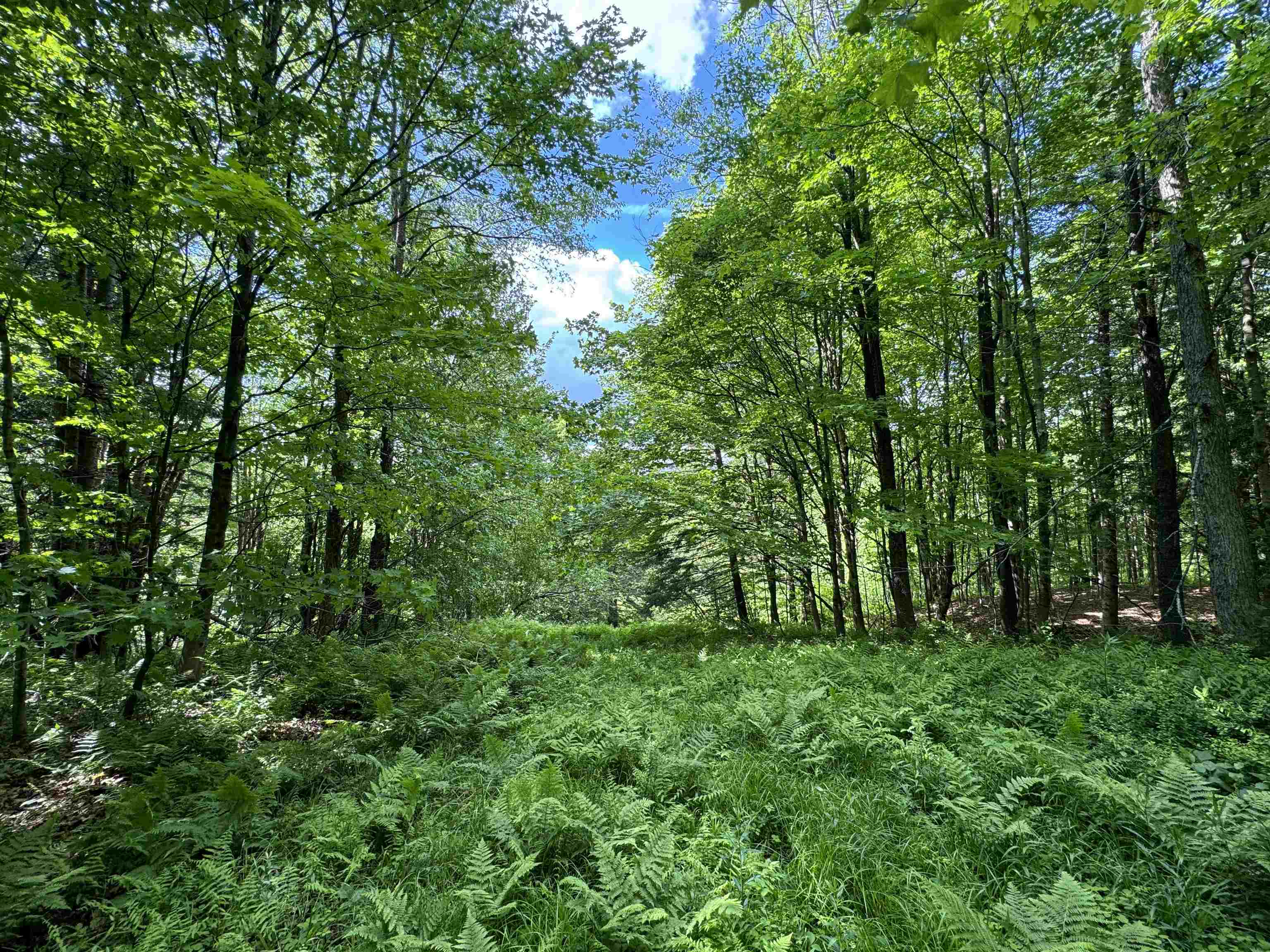 0 Hillside Drive Unit: Lot 46