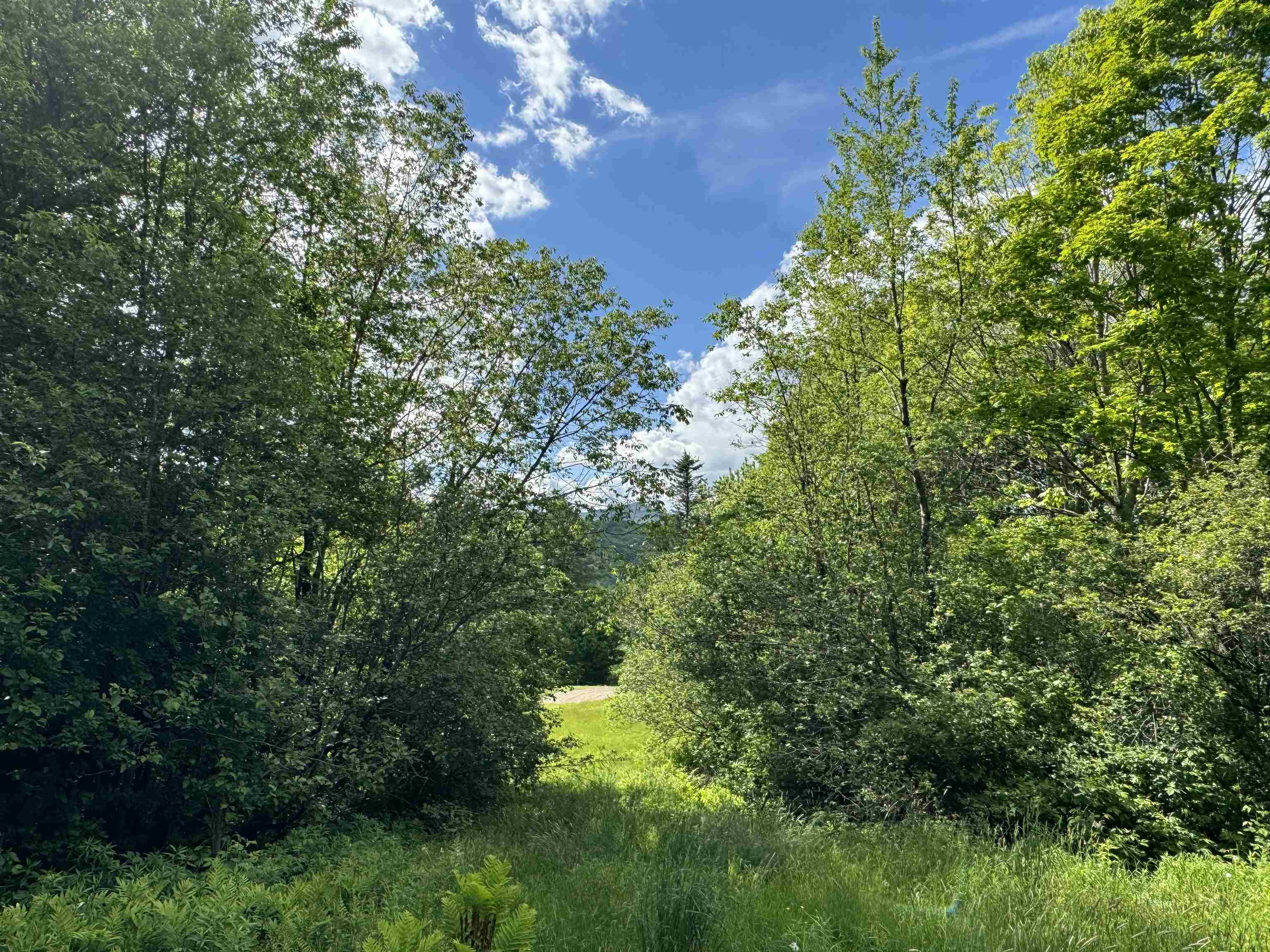 0 Hillside Drive Unit: Lot 46