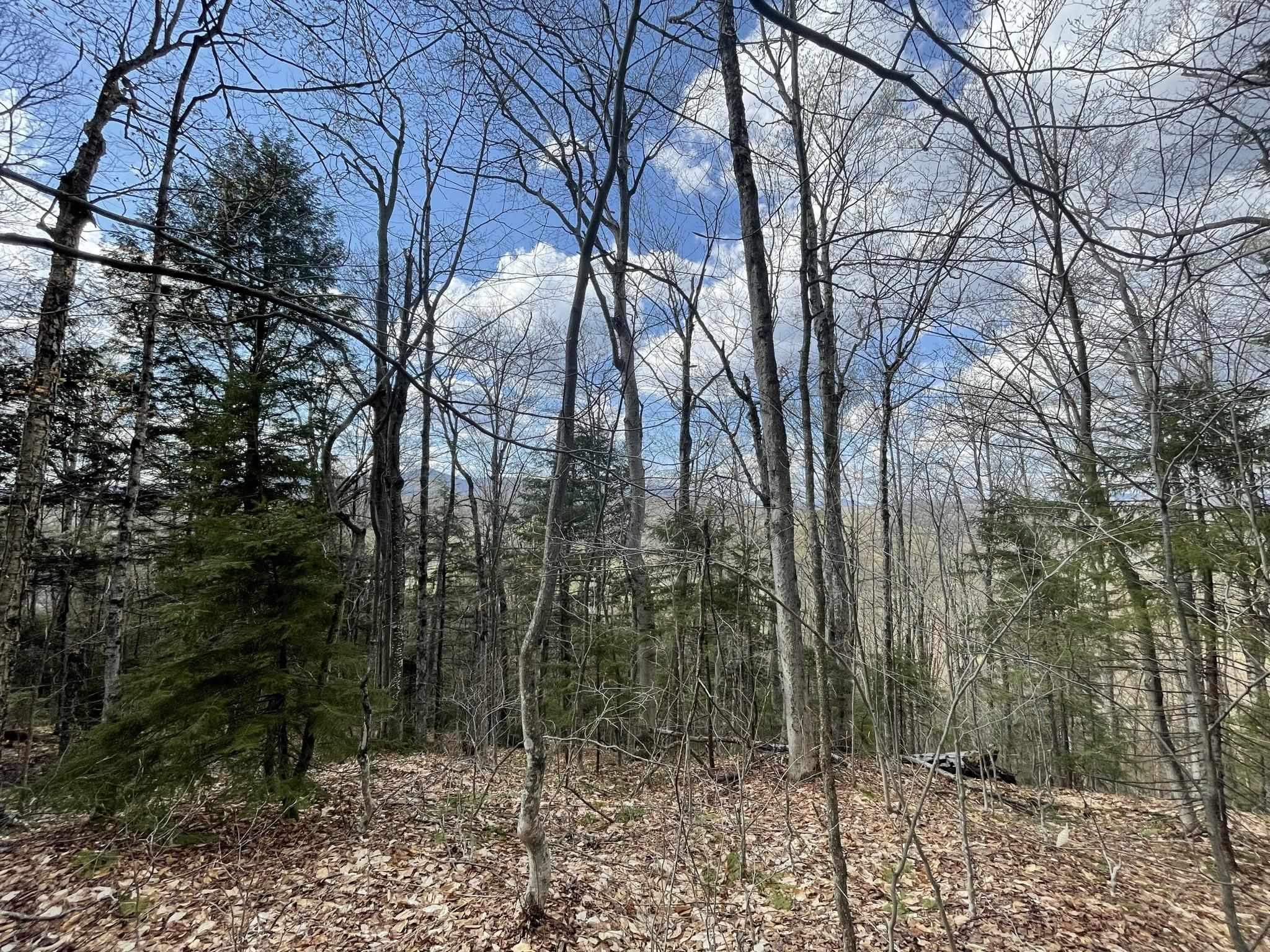 0 Hillside Drive Unit: Lot 46