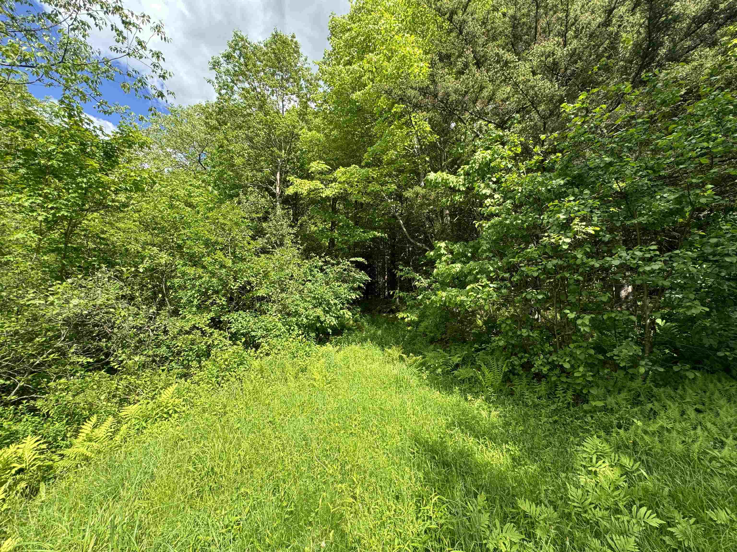 0 Hillside Drive Unit: Lot 46