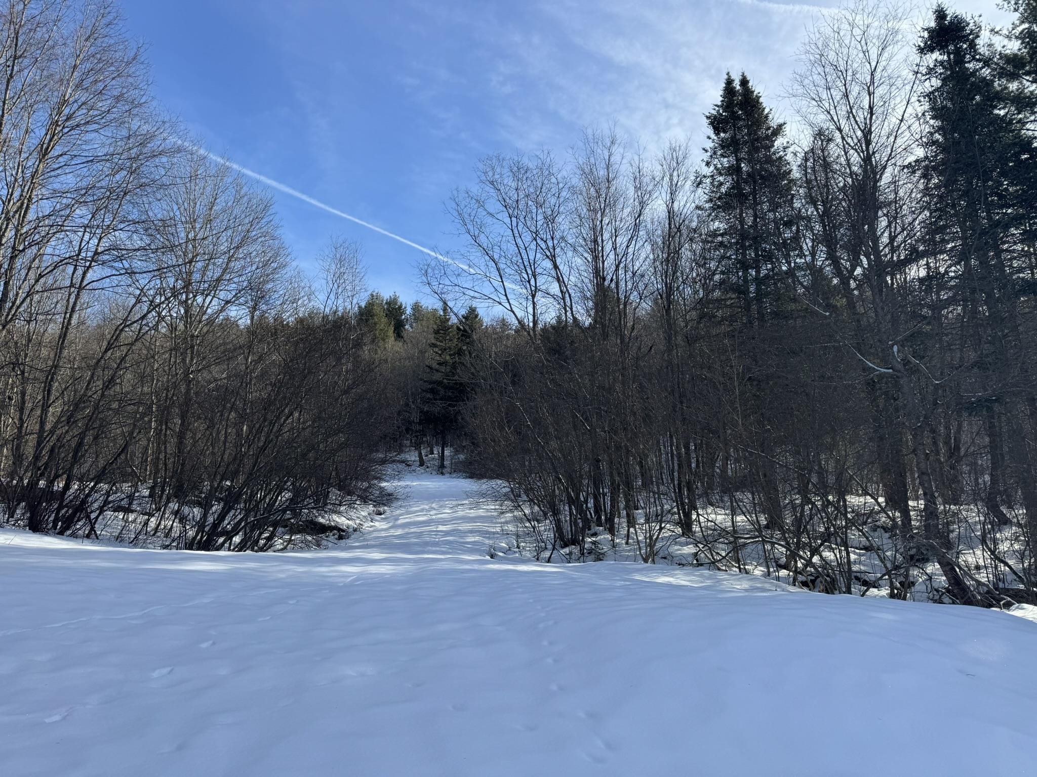 0 Hillside Drive Unit: Lot 46